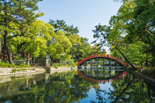 Parque Oriental Con Pasarela Sobre Canal En Día Soleado