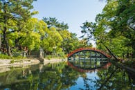 Picturesque view of green Sumiyoshi Grand Shrine temple territory in Osaka Japan on summer sunny day