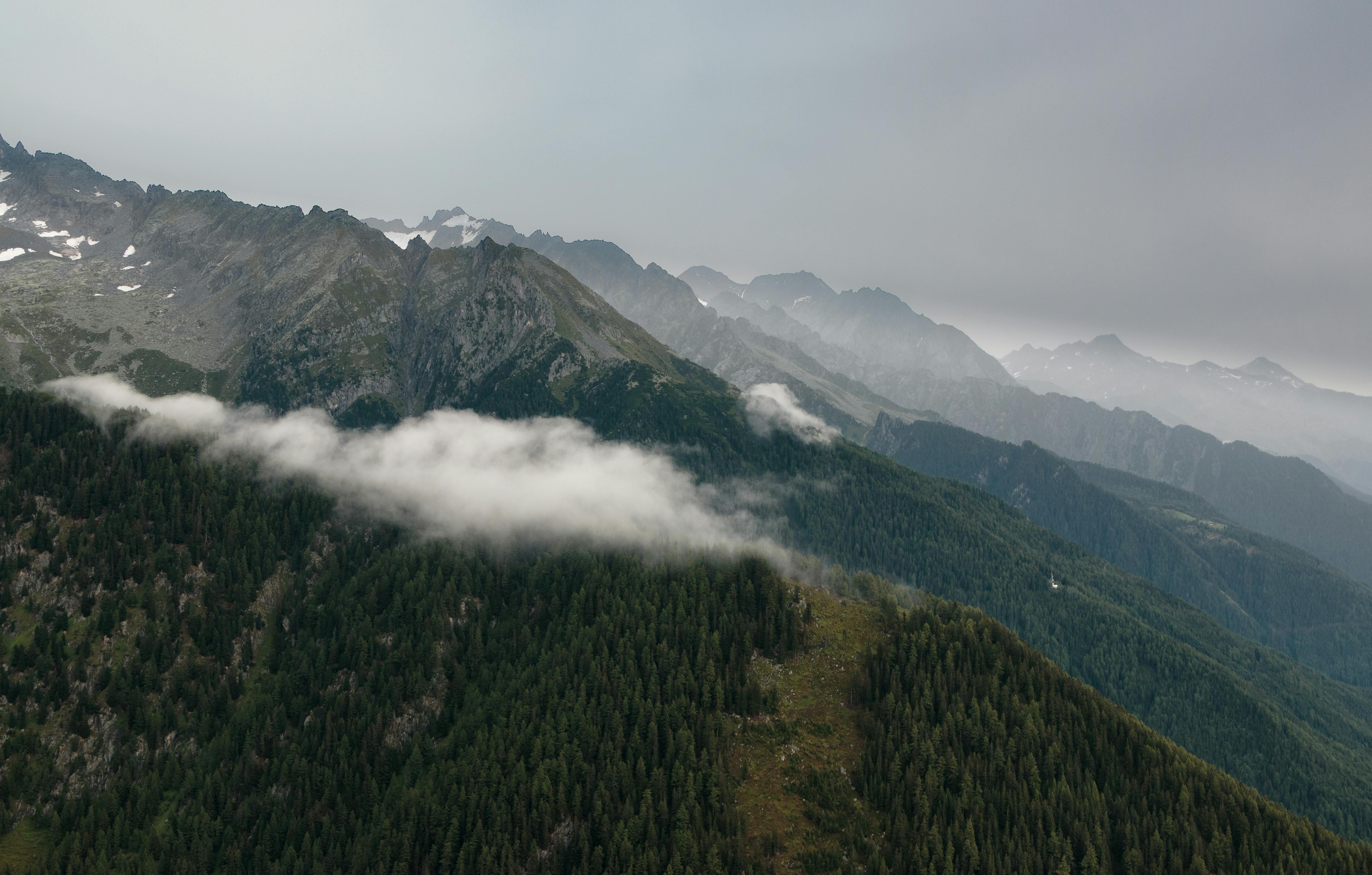 Kostenloses Foto zum Thema: bäume, berge, draußen