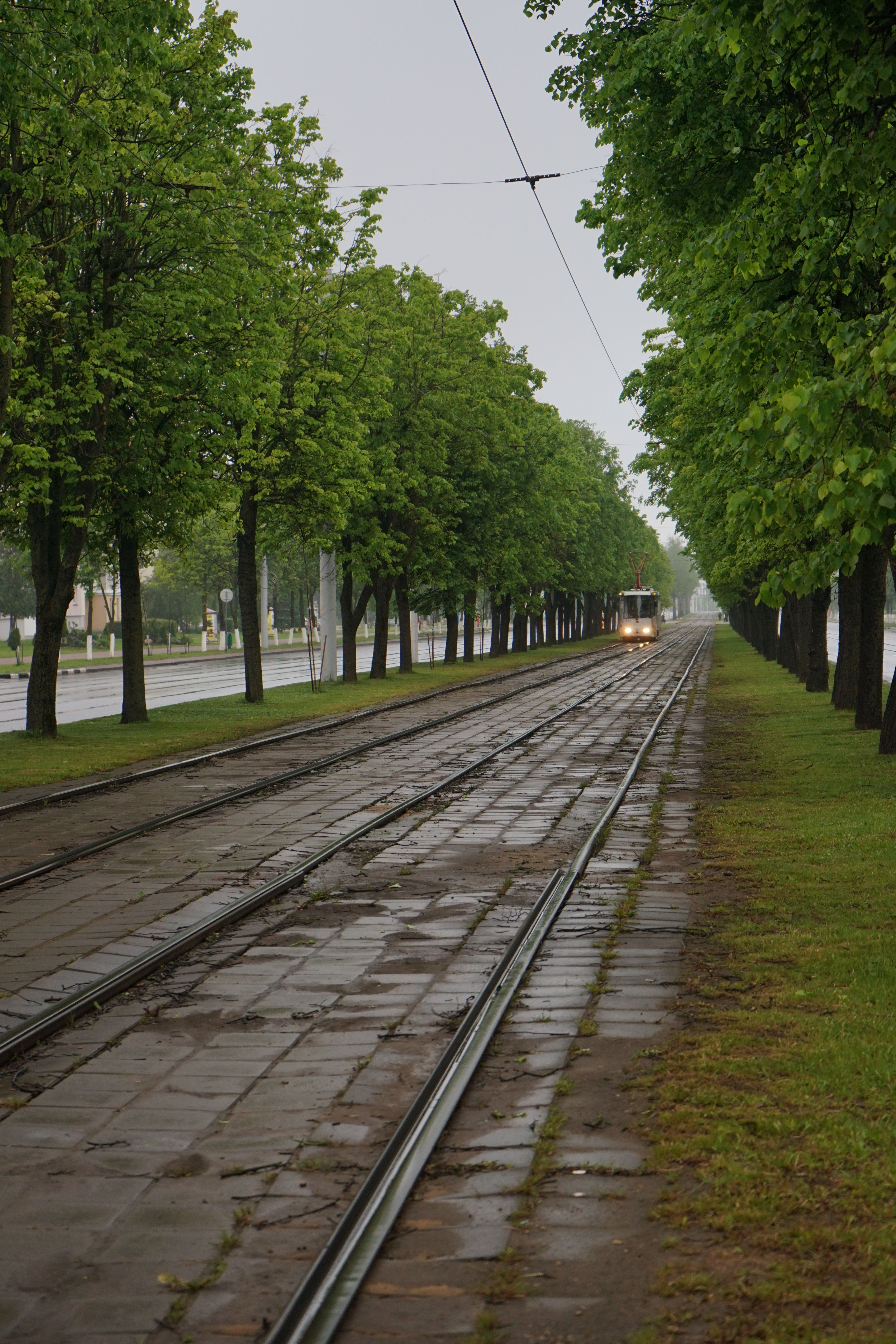 城市街道上，雾蒙蒙的雨天里，电车轨道延伸，绿树郁郁葱葱