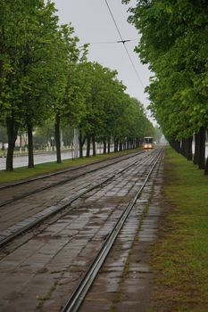 城市街道上，雾蒙蒙的雨天里，电车轨道延伸，绿树郁郁葱葱