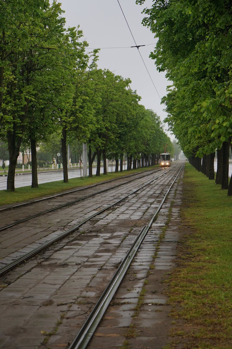 Tram On A Wet Tram Track 