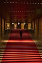 Dark figure in building with red carpet