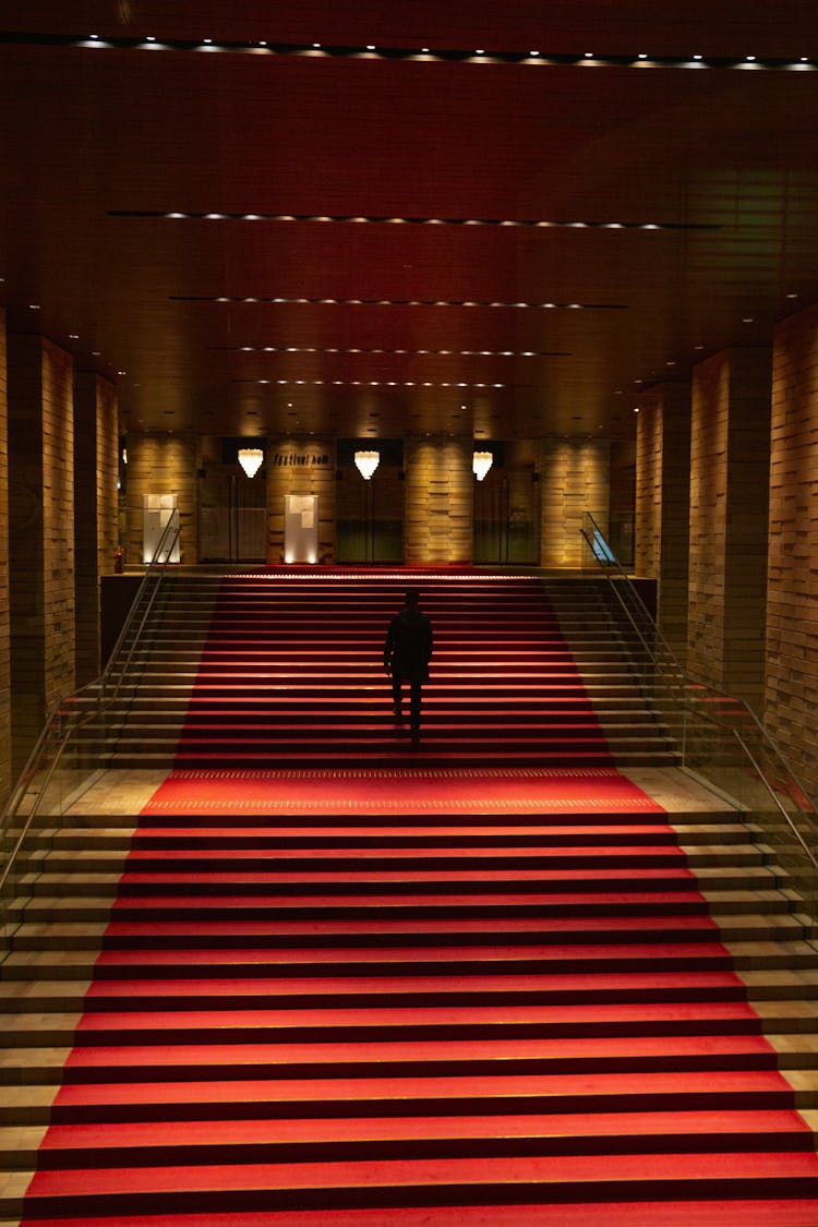 Dark Figure In Building With Red Carpet