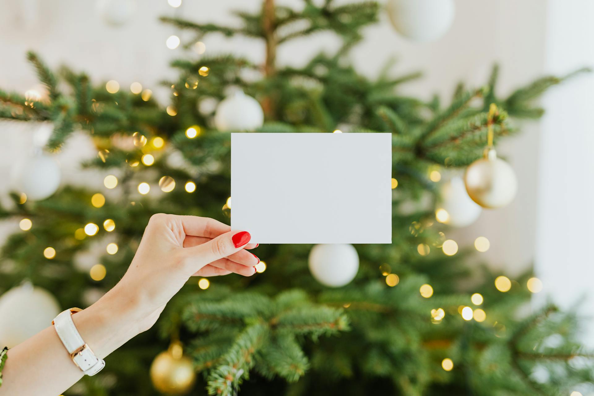 Person Holding a Card