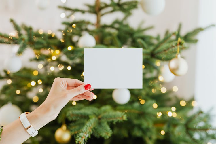 Person Holding A Card