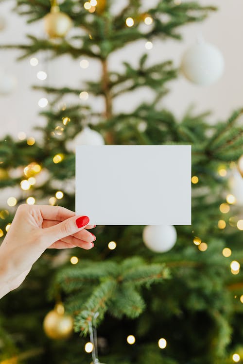 Free Close-Up Photo of Person Holding a Blank Card Stock Photo