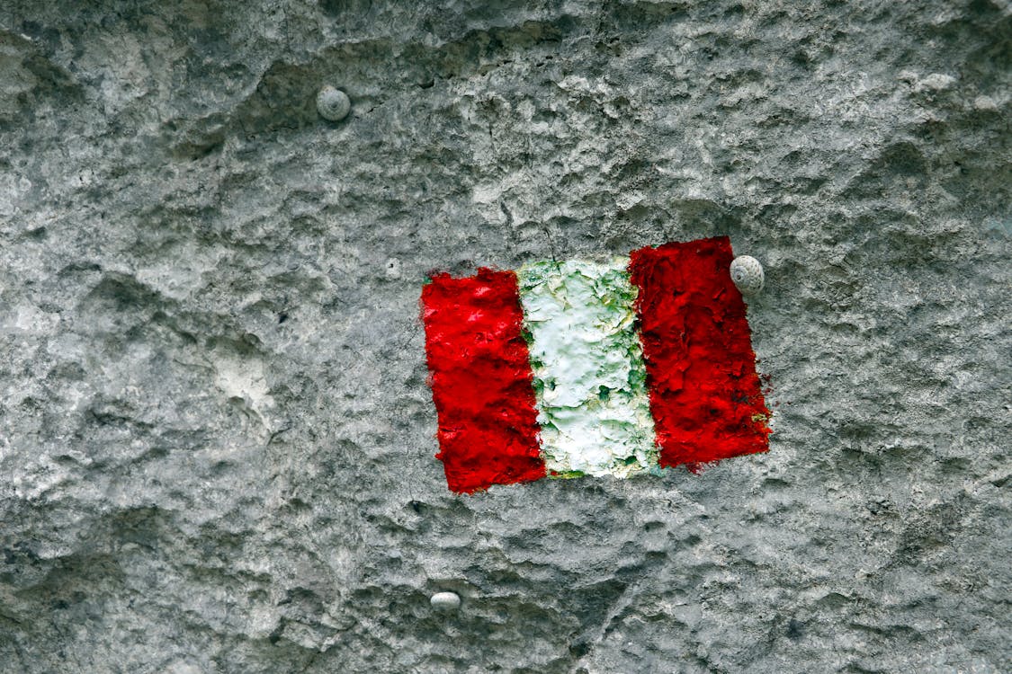 2026年科技如何重塑犯罪偵查:塔拉哈西警方逮捕案的深度剖析與未來預測 2026年科技如何重塑犯罪偵查:塔拉哈西警方逮捕案的深度剖析與未來預測