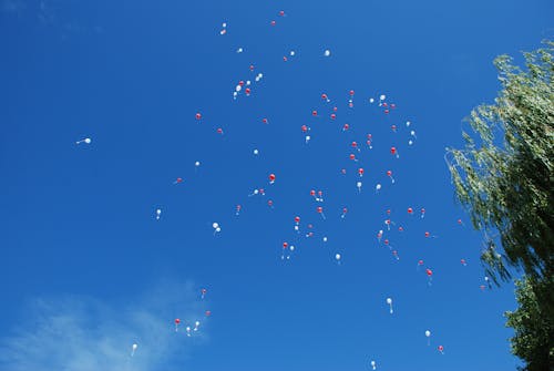 Gratis lagerfoto af balloner, blå himmel, flyve