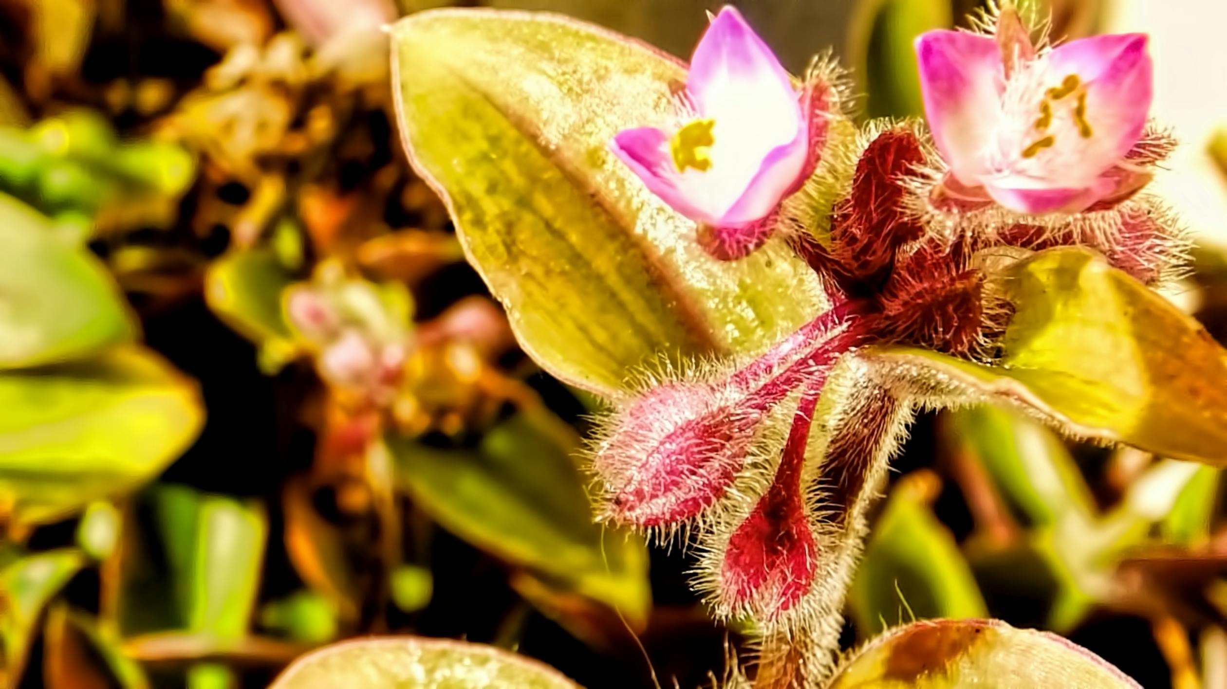 Help Someone Secret for Spiritual Wellness - acts of kindness and giving