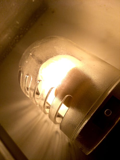 Free stock photo of bulb, dim light, food Stock Photo