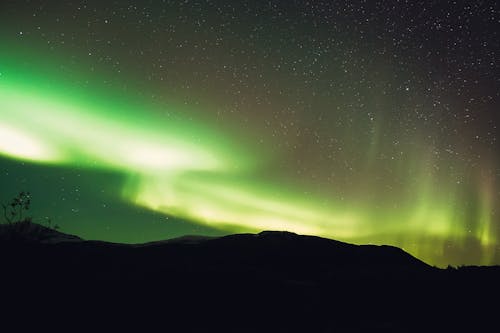 Low angle scenery view of bright green northern lights illuminating mountain silhouette and starry sky in evening