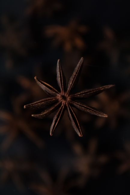 Fotomural Primer plano artístico de un anís estrellado sobre un fondo oscuro y borroso.