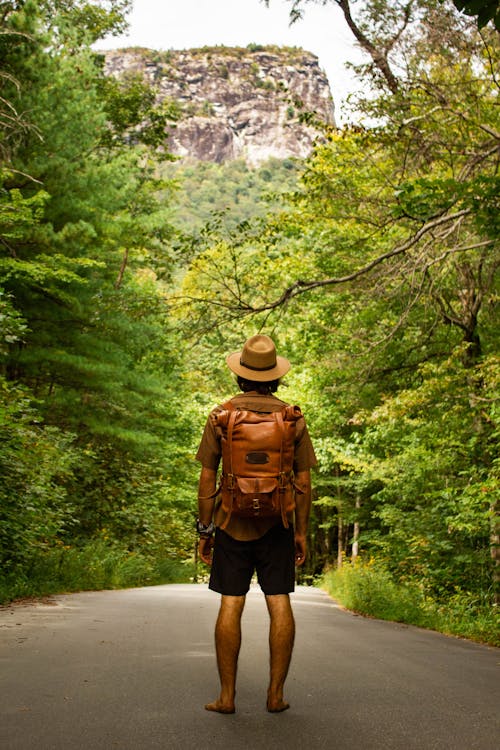 Back View of Man with Backpack in Green Forest