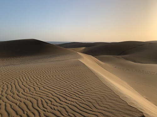 Foto stok gratis bukit pasir, Fajar, gurun pasir