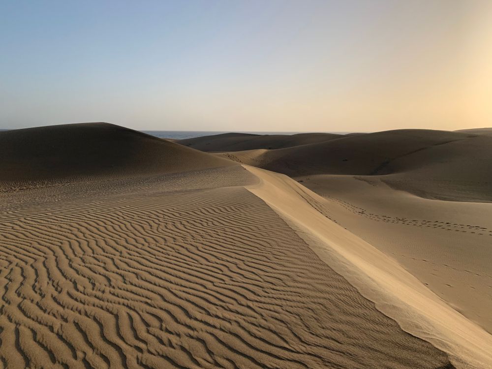 Wind-carved ripples across desert sand dunes