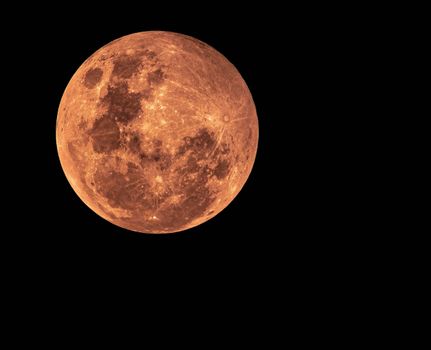 Venus in Black Background