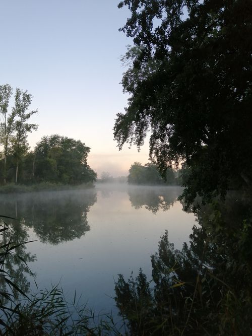 Free Capture the serene beauty of a misty lake at dawn with tranquil reflections. Stock Photo