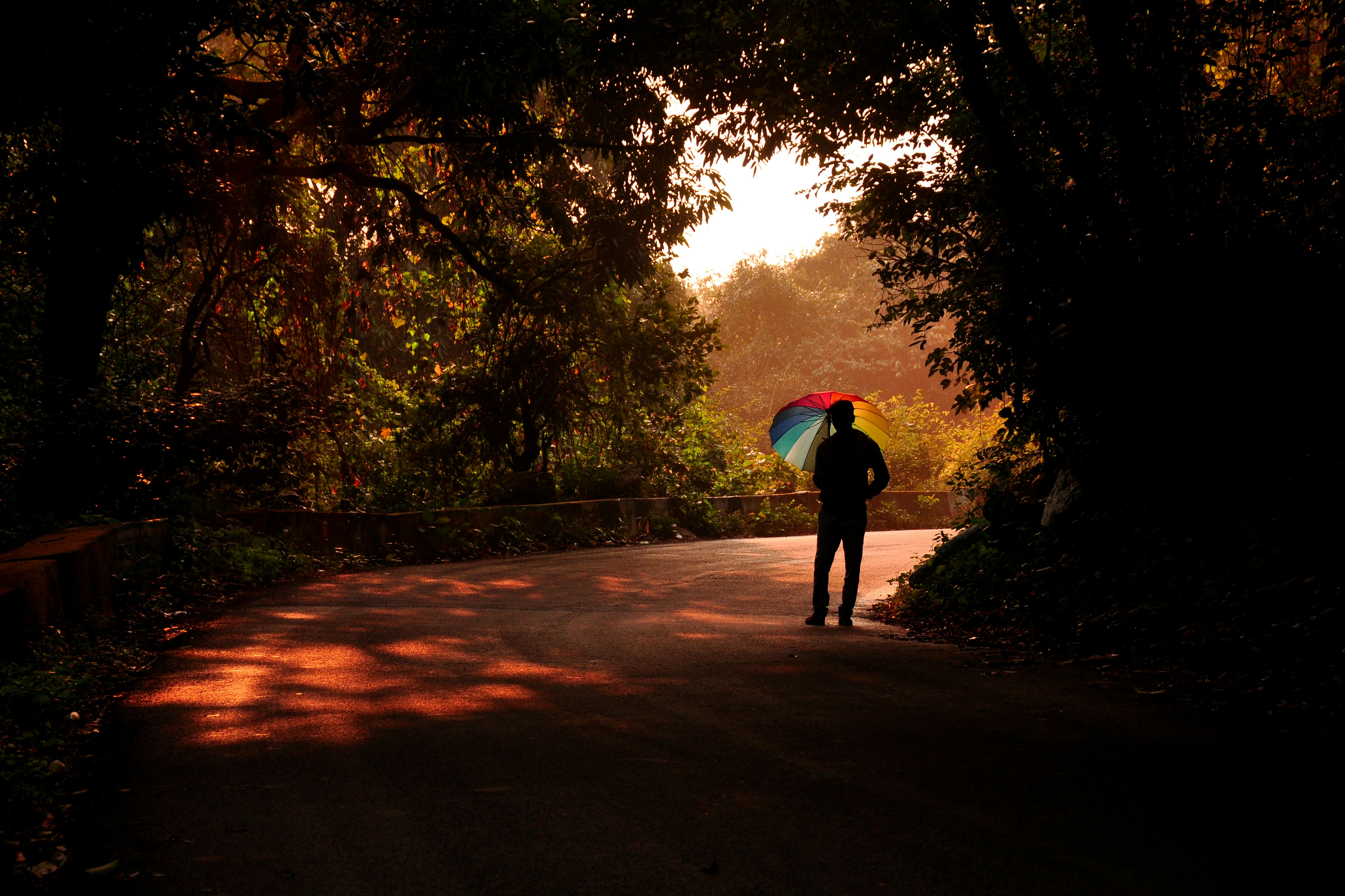 Validazione IBAN: Come Verificare un Codice IBAN Italiano