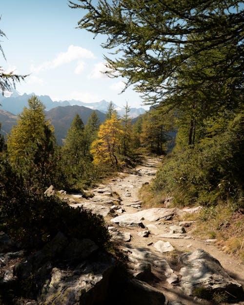 Free Rocky Path in Mountain Area Stock Photo