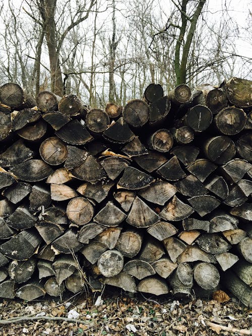 Heap of Logs