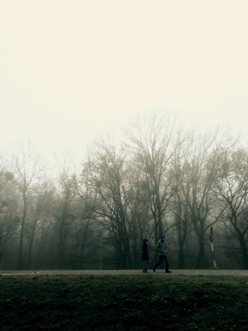 People Walking in Park under Fog