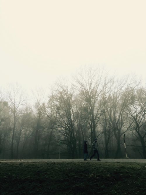Free Two people walking in foggy Eckartsau Park, Austria, surrounded by bare trees. Stock Photo