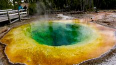 Green Water on Brown Soil