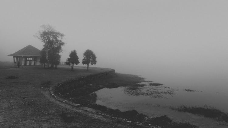 Grayscale Photo Of A House Near The Sea