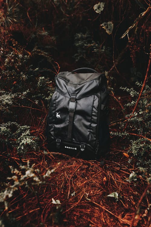 From above of modern black rucksack on shabby land among plants in woods