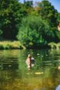 Duck in Pond