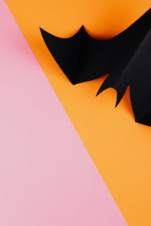 Black Paper Bat on Orange and Pink Background