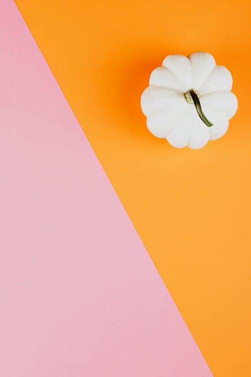 White Pumpkin on Orange and Pink Background