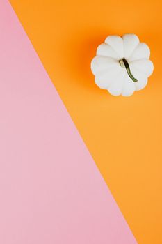 白色南瓜与充满活力的橙色和粉色背景相搭配，非常适合季节性设计