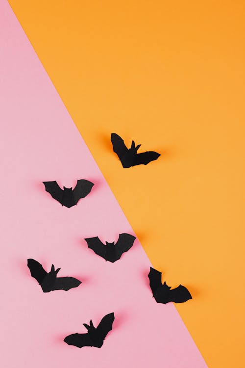 Free Paper Bats Cutout over Yellow and Pink Surface Stock Photo