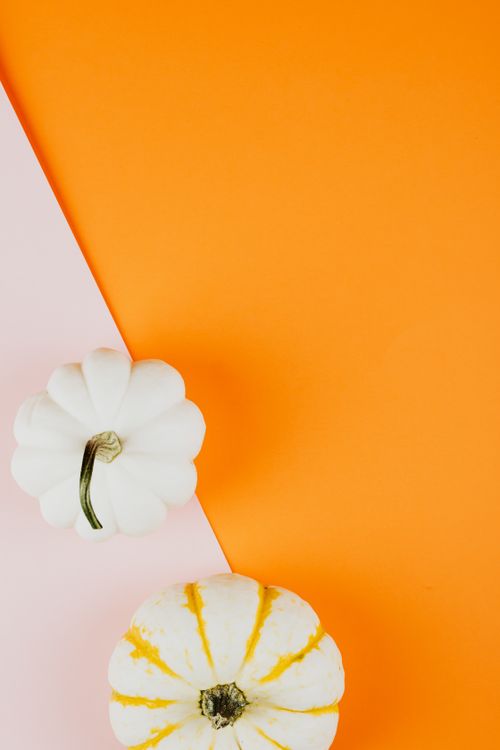 Free Top view of two white pumpkins on a vibrant orange and white background, perfect for fall decorations. Stock Photo