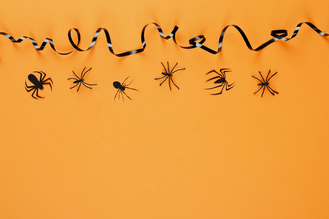 Spiders Over an Orange Surface