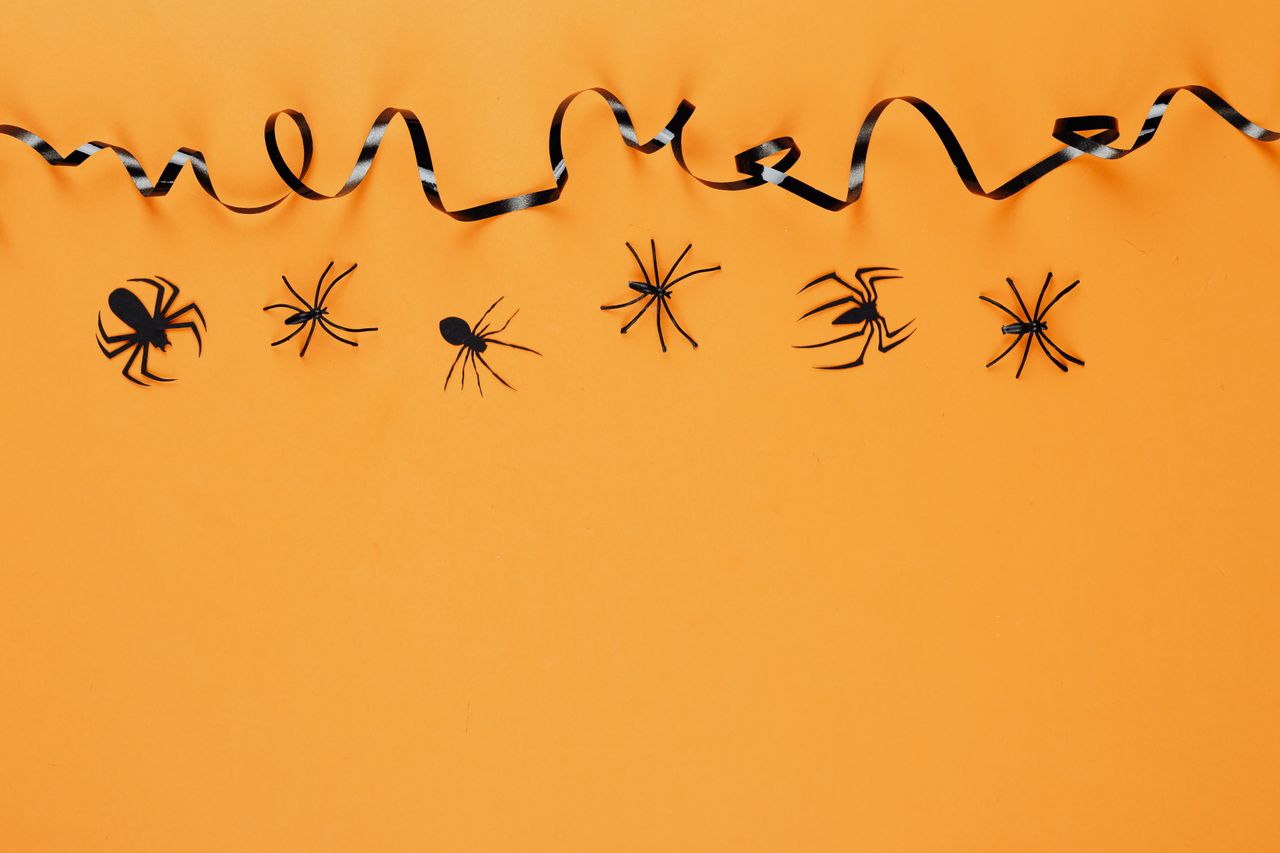 creative halloween design with spider cutouts on orange background and
