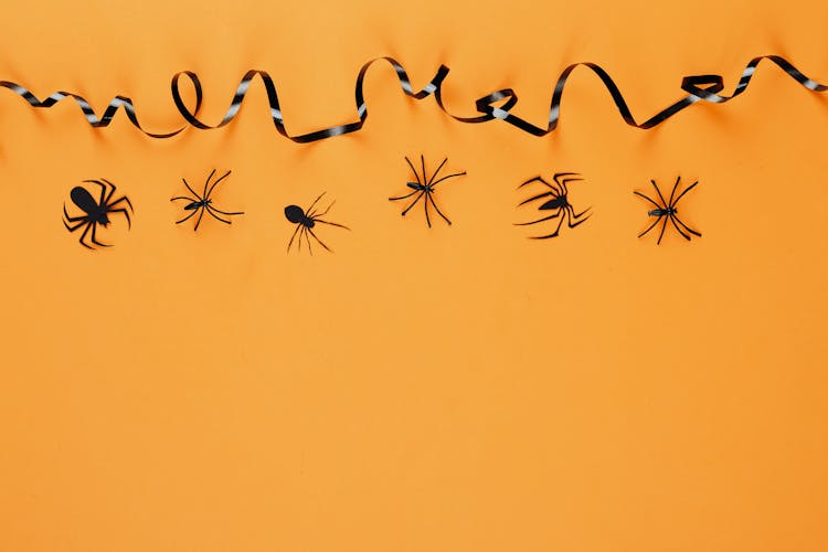 Spiders Over An Orange Surface