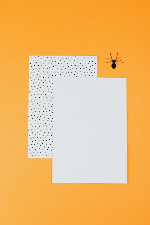 Darmowe zdjęcie z galerii z arkusze, pająk, papier