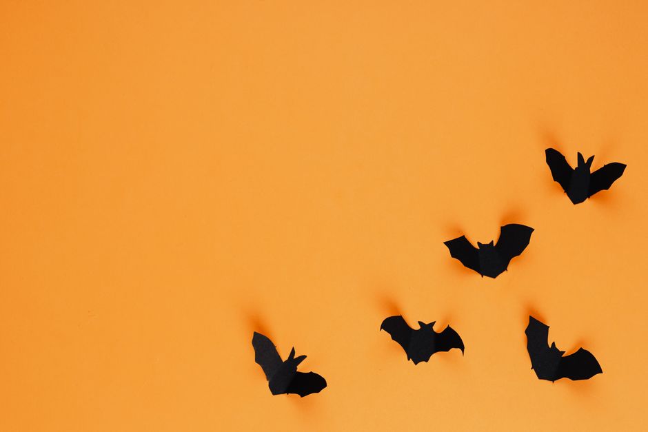 Silhouettes of black bats on a vibrant orange backdrop create a spooky Halloween vibe.