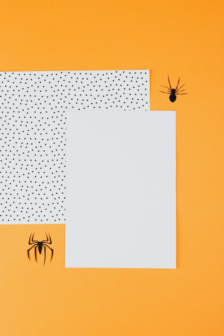 Paper Sheets And Spiders