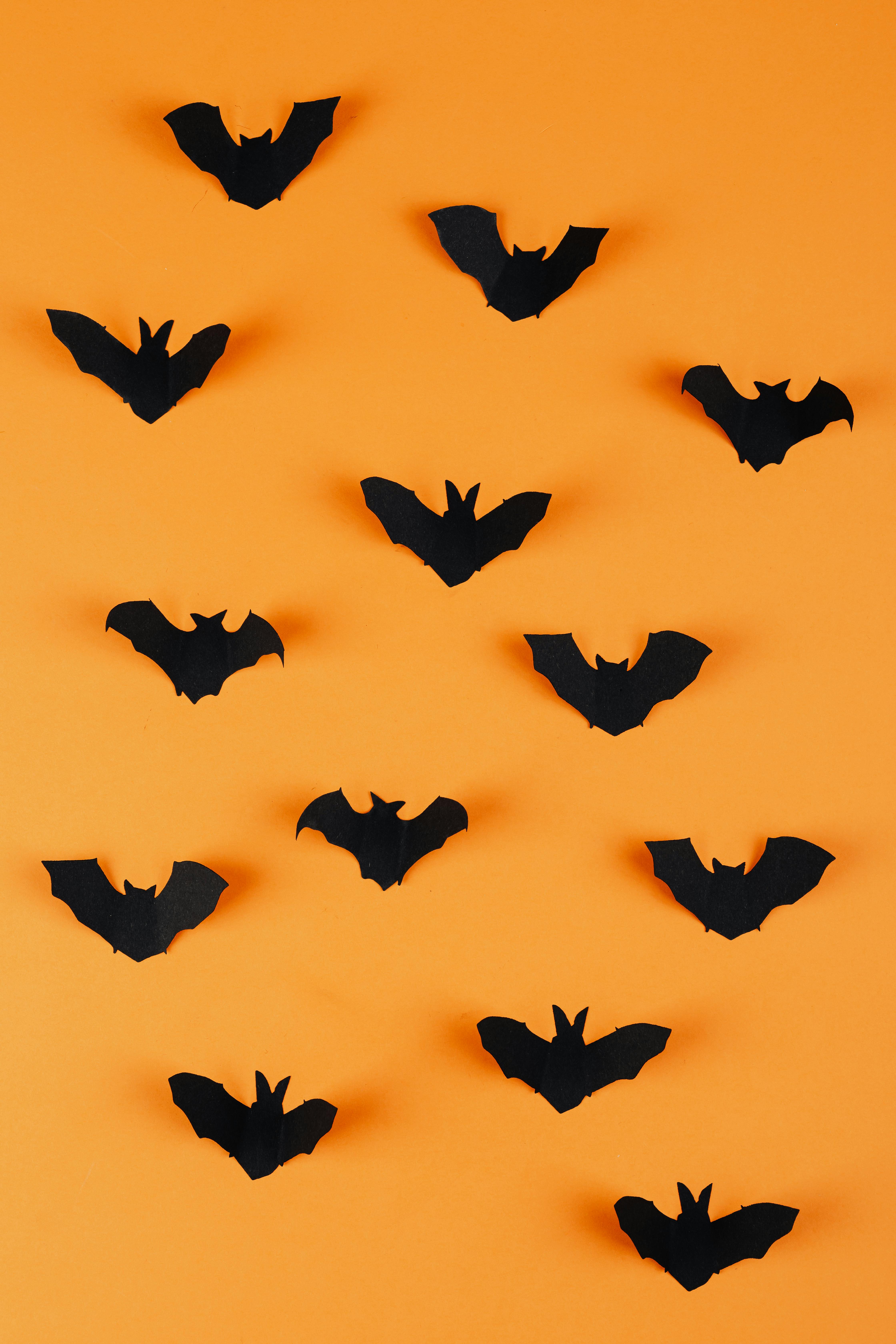 black paper bats on orange background