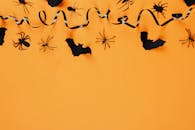 黑色纸蝙蝠和蜘蛛在橙色背景上，非常适合万圣节主题