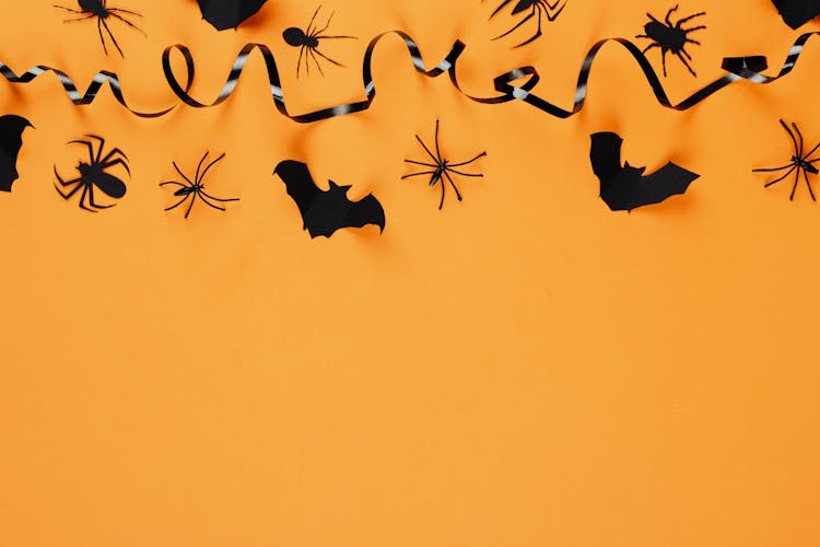 Black Halloween Decorations Hanged On Orange Wall