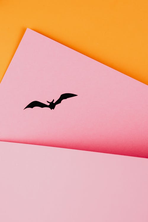 Black Paper Bat on Orange and Pink Background