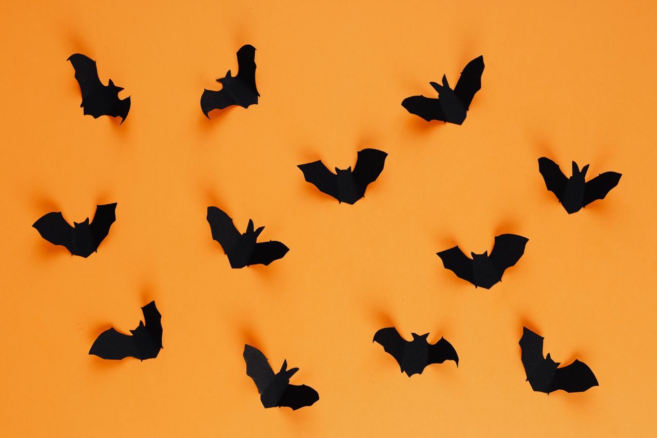 decorative black paper bats on an orange background perfect for hallow