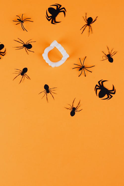 Spiders and Vampire Fangs on Orange Background