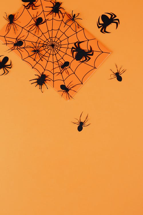 Black Paper Spiders on Orange Background