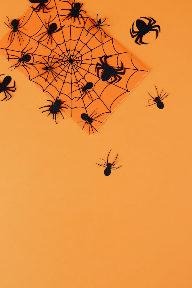 Black Paper Spiders On Orange Background